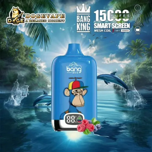 Grossist Bang King Smartscreen 15000 Factory Direct Vape | Nikotin 0% 2% 3% 5% | 12smak | Kina Vape | dogevape.com