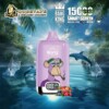 Wholesale Bang King Smartscreen 15000 Factory Direct Vape | Nicotine 0% 2% 3% 5% | 12flavor | China Vape | dogevape.com