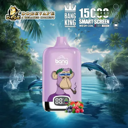 Vendita all'ingrosso Bang King Smartscreen 15000 Vape diretto in fabbrica | Nicotina 0% 2% 3% 5% | 12sapore | Cina Vape | dogevape.com