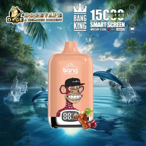 Venta al por mayor Bang King Smartscreen 15000 Vape directo de fábrica | Nicotina 0% 2% 3% 5% | 12sabor | Vaporizador chino | dogevape.com
