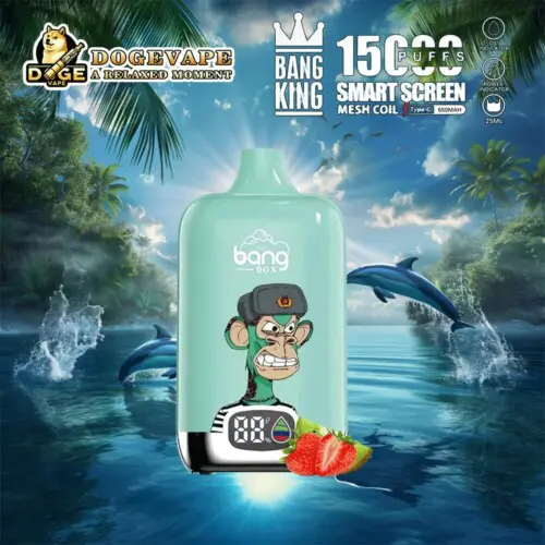 Großhandel Bang King Smartscreen 15000 Factory Direct Vape | Nikotin 0% 2% 3% 5% | 12Geschmack | China Vape | dogevape.com
