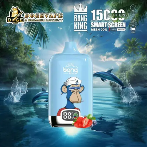 Vente en gros Bang King Smartscreen 15000 Vape directe d'usine | Nicotine 0% 2% 3% 5% | 12 saveurs | Chine Vape | dogevape.com