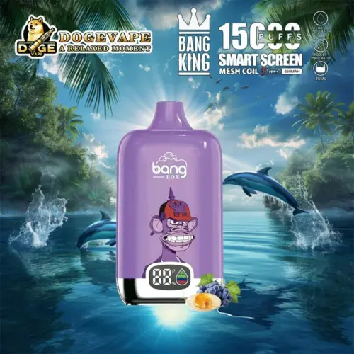 Venta al por mayor Bang King Smartscreen 15000 Vape directo de fábrica | Nicotina 0% 2% 3% 5% | 12sabor | Vaporizador chino | dogevape.com