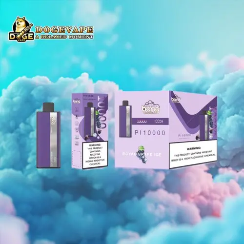 Fabrieksdirecte originele Bang PI 10000 Vape | Nicotine 0% 2% 3% 5% | Multi-smaak | Chinese damp | dogevape.com