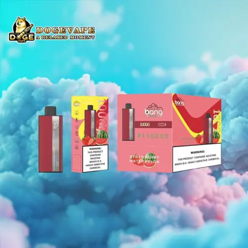 Direkt ab Werk Original Bang PI 10000 Vape | Nikotin 0% 2% 3% 5% | Verschiedene Geschmacksrichtungen | China Vape | dogevape.com