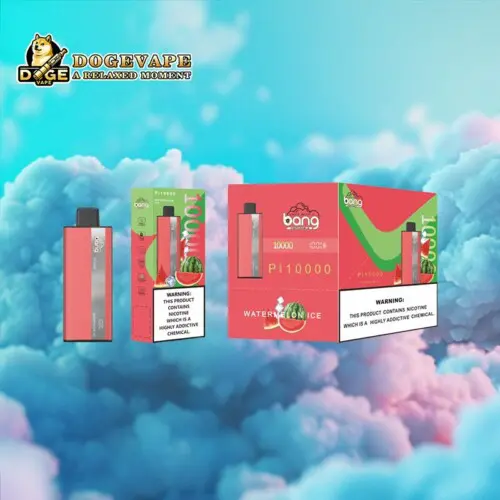 Direkt ab Werk Original Bang PI 10000 Vape | Nikotin 0% 2% 3% 5% | Verschiedene Geschmacksrichtungen | China Vape | dogevape.com