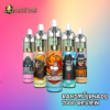 RandM Tornado 7000 7K Vape 10 Boxed Set - Buy | 56 Flavored | China Vape | dogevape.com