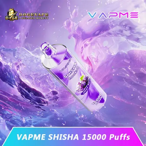 Vapme Shisha Hookah 15000 15K Puffs Persistant | Chine Vape | dogevape.com