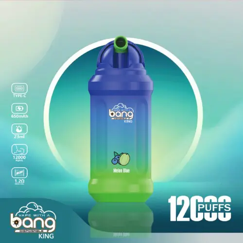 Bang King 12000 Puffs Vape jetable en gros | dogevape.com