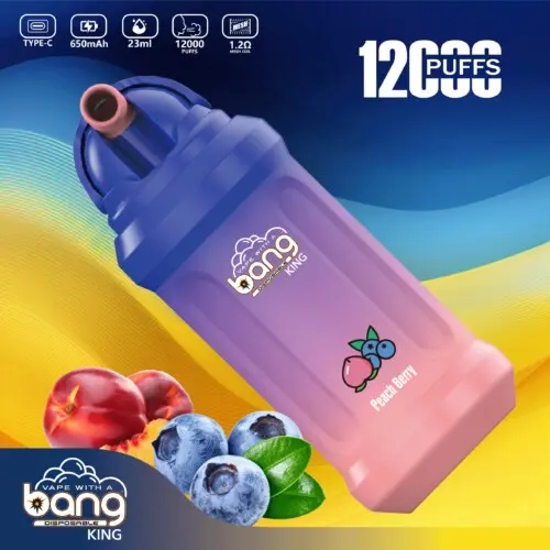 Bang King 12000 Puffs Vape jetable en gros | dogevape.com