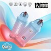 Bang King 12000 Puffs Disposable Vape Wholesale | dogevape.com