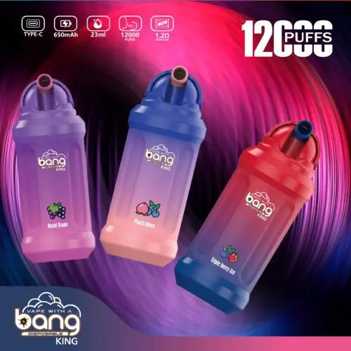 Bang King 12000 Puffs Vape desechable al por mayor | dogevape.com