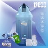 Bang King 12000 Puffs Disposable Vape Wholesale | dogevape.com