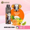 VAPME King Pro 12000 Puffs | BIGBANG FRUIT | DogeVape