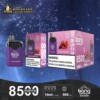 Bang De 8500 Rechargeable Disposable kit
