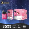 Bang De 8500 Rechargeable Disposable kit