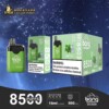 Bang De 8500 Rechargeable Disposable kit