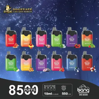 Bang De 8500 Rechargeable Disposable kit