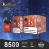 Bang De 8500 Rechargeable Disposable kit