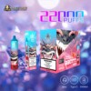 bang beach 22000 puffs disposable e cigarettes nicotine 0% 2% 3% 5%
