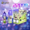 bang beach 22000 puffs disposable e cigarettes nicotine 0% 2% 3% 5%