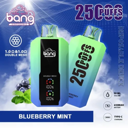 bang 25000 puffs blueberry mint