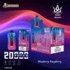 bang beach 20000puffs blueberry raspberry