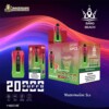 bang beach 20000puffs watermelon ice