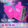 bang pulse 18000 puffs