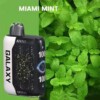 GALAXY 30000 Gypsophila 30000 Puffs miami-mint