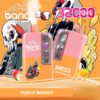 Brightly coloured vape product packaging for "Bang Disposable" in peach mango flavour, featuring 3200 puffs, a bold design with illustrations of skulls, racing imagery, and fruit visuals.