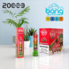 A display featuring Bang disposable vapes, highlighting a watermelon flavour. The items include a colourful vape pen and a boxed package, set against a light blue background with a green plant nearby.