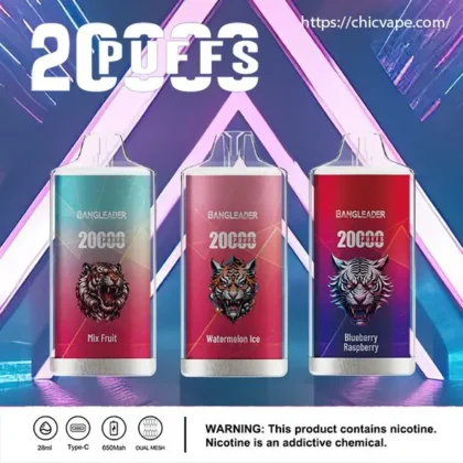 Advertising image showcasing three disposable vaporizers labeled Bangleader with 20,000 puffs capacity, displayed in a futuristic purple and blue setting; flavors include Mix Fruit, Watermelon Ice, and Blueberry Raspberry, with a nicotine warning at the bottom.