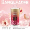 Electronic vaping device Bangleader Peach Ice flavor with tiger graphic and peach imagery on a pink background, featuring product specifications and a nicotine warning.
