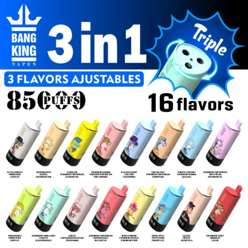 Bang King Vapen 3 In 1 Disposable Vapes With 3 Adjustable Flavors, Offering 850 Puffs And 16 Total Flavors Shown As Twelve Colourful Vape Devices Each With Unique Cartoon Character Designs And Fruit-Themed Flavors Including Options Like Ice Tea Lemon Ice, Watermelon Redbull, Lemon Lime, Blue Razz Cherry, Tropical Fruit, And Strawberry Banana.