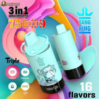 Two pastel blue vaping devices with cartoon graphics and flavor labels, surrounded by colorful abstract swirls, highlighting 3-in-1 adjustable flavors, 75 puffs, USB Type-C charging, 650mAh battery, and 16 flavor options from Bang King Vape.