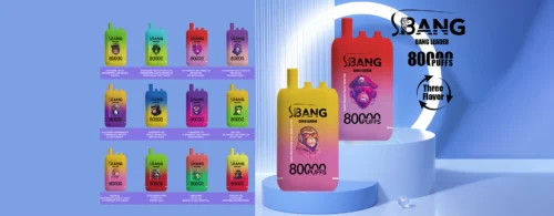 Collection Of 12 Colorful Bang Leader Disposable Vape Devices, Each Labeled With Unique Fruit-Flavored Combinations, Arranged In A Grid On The Left And Two Larger Devices Displayed On Blue Pedestals On The Right, Against A Soft Blue Background With The Bang Leader Logo And Text Highlighting 80,000 Puffs And Three Flavor Options.
