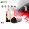 Two beige and black Bang King vape devices with cartoon illustrations, surrounded by red and black smoke and accompanied by icons indicating Type-C charging, 650mAh battery, 15ml e-liquid capacity, 1.0 ohm coil resistance, and three adjustable flavors, advertising 3 in 1 functionality and 75 puffs.