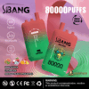 Two gradient red to green disposable vape devices with a monkey wearing sunglasses on the front, labelled S.BANG Bang Leader, offering 80000 puffs and triple flavor including kiwi guava, lychee ice, and mango peach pineapple, with Type-C charging and dual mesh features, displayed against a pink and green abstract background.