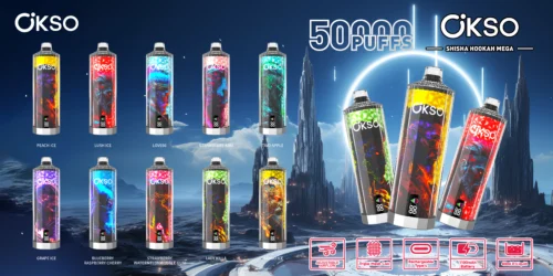 Différents appareils de narguilé jetables Okso colorés avec différentes étiquettes de saveurs telles que Peach Ice, Lush Ice, Love66, Strawberry Kiwi, Two Apple, Grape Ice, Blueberry Raspberry Cherry, Strawberry Watermelon Bubble Gum, Lady Killa et Mango Ice, sur fond de paysage fantastique avec des flèches rocheuses et un anneau lumineux, mettant en évidence des fonctionnalités telles que 5000 bouffées, un flux d'air réglable, une bobine à triple maille, une batterie rechargeable de type C, 1100 mAh et une capacité de 40 ml d'e-liquide.